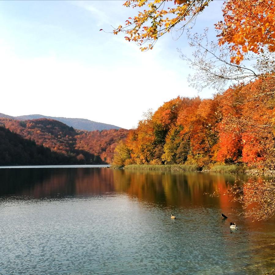Plitvice Konak Daic Plitvička Jezera Exterior foto
